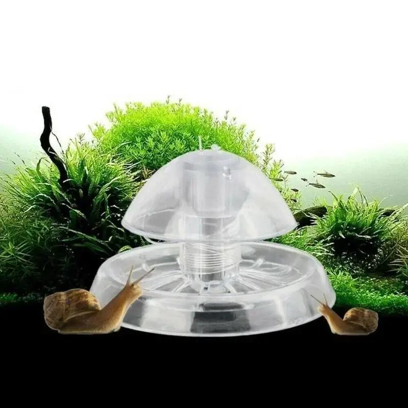 Aquarium Plant Nursery - 2026 New 6/8CM Clear Plastic Snail