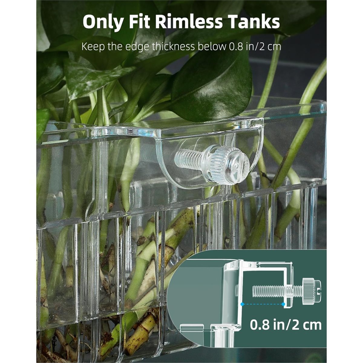 Planted Aquarium For Sale - 618 Mega Sale Clear Acrylic Aquarium