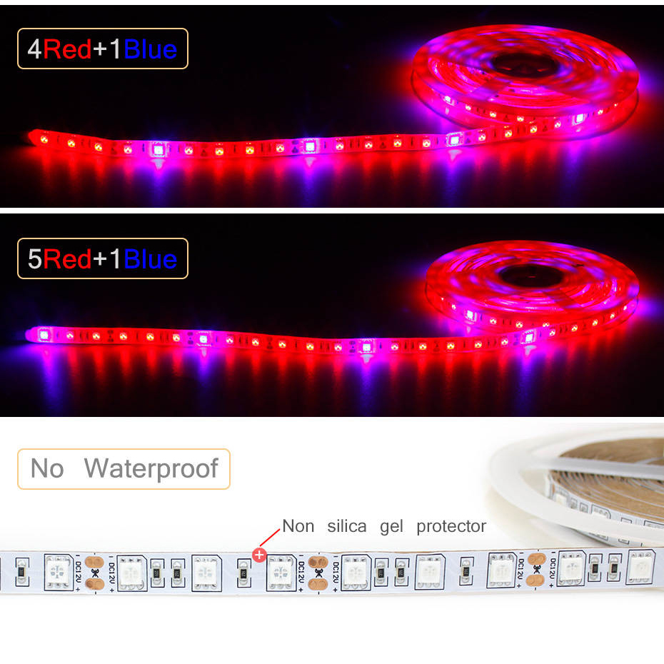 1M 2M 3M 4M 5M LED Grow Light  - Aquarium Plant Echinodorus ulasan dan harga