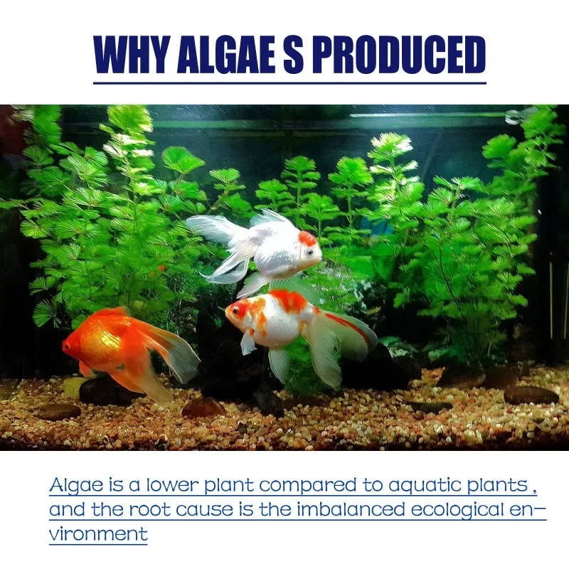 50g High Efficiency Algaecide  - Planted Aquarium Parameters ulasan dan harga
