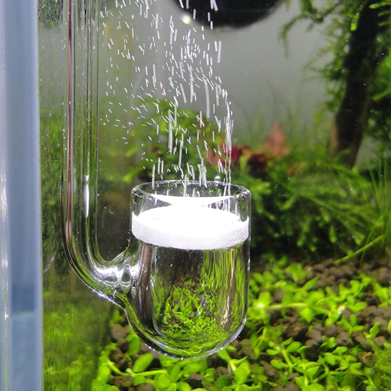 D0AD Glass CO2 Diffuser for Aq - Aquarium Plant No Co2 ulasan dan harga