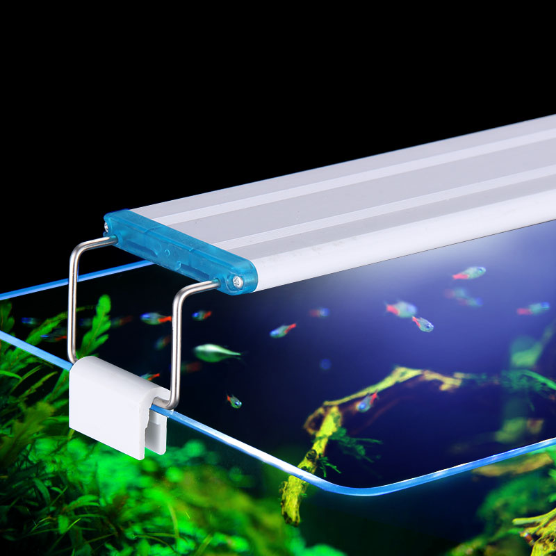 Extensible Waterproof Clip on  - Aquarium Plant Display ulasan dan harga
