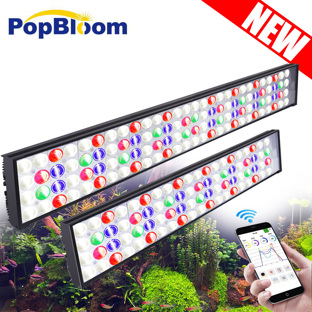 PopBloom H54 H75 WiFi Full Spe - Planted Aquarium Freshwater ulasan dan harga