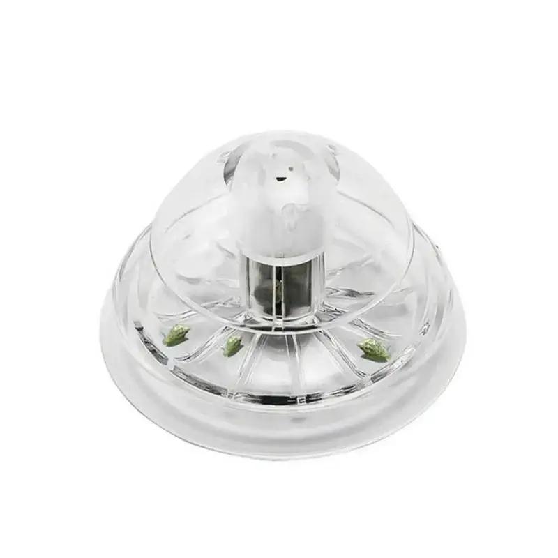 2026 New 6/8CM Clear Plastic S - Aquarium Plant Nursery ulasan dan harga