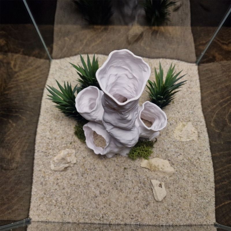 Hot Sale 3D Printed Coral Tunn - Planted Aquarium For Sale ulasan dan harga
