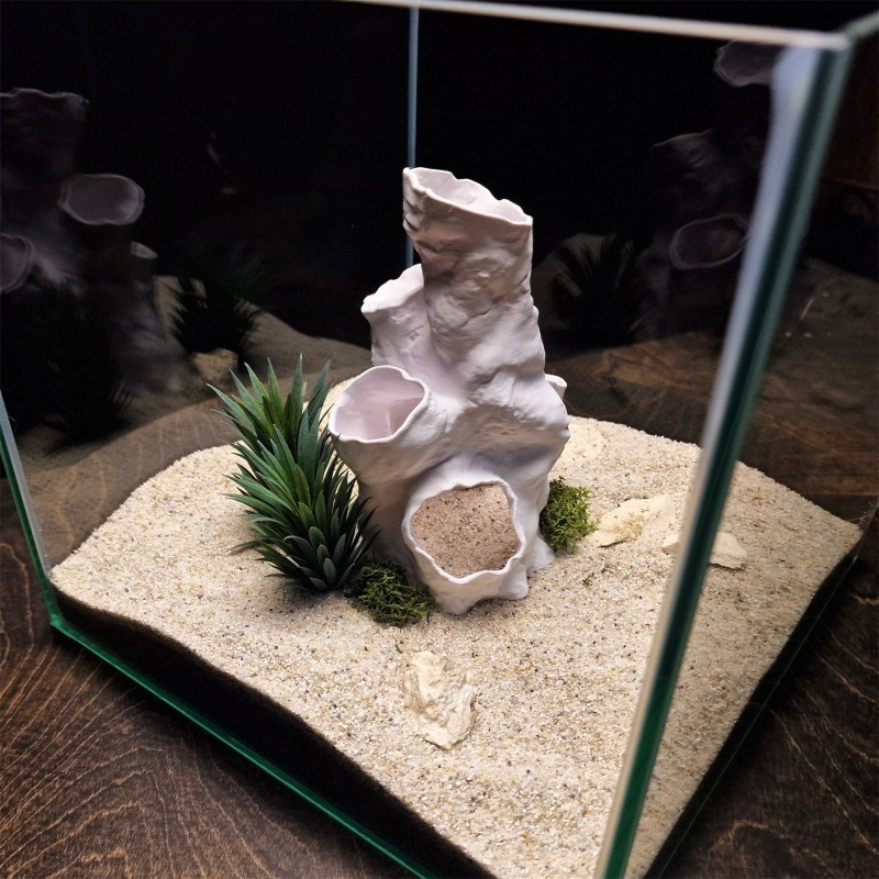 Hot Sale 3D Printed Coral Tunn - Planted Aquarium For Sale ulasan dan harga
