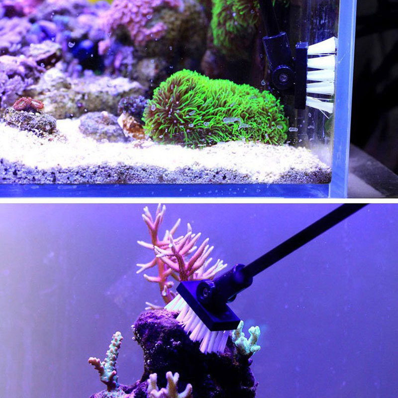Fishing Cleaning Brush Plant T - Planted Aquarium Freshwater ulasan dan harga