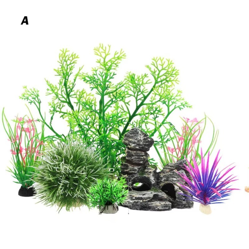 10pcs Hot Selling New Arrival  - Planted Aquarium For Sale ulasan dan harga
