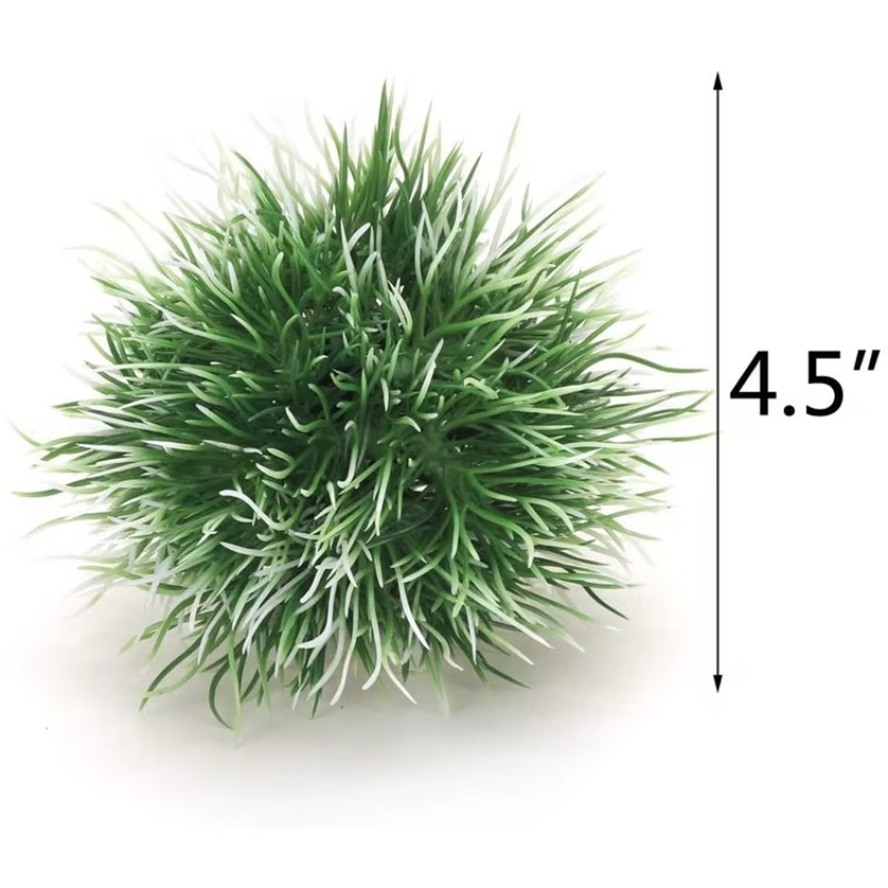10pcs Hot Selling New Arrival  - Planted Aquarium For Sale ulasan dan harga