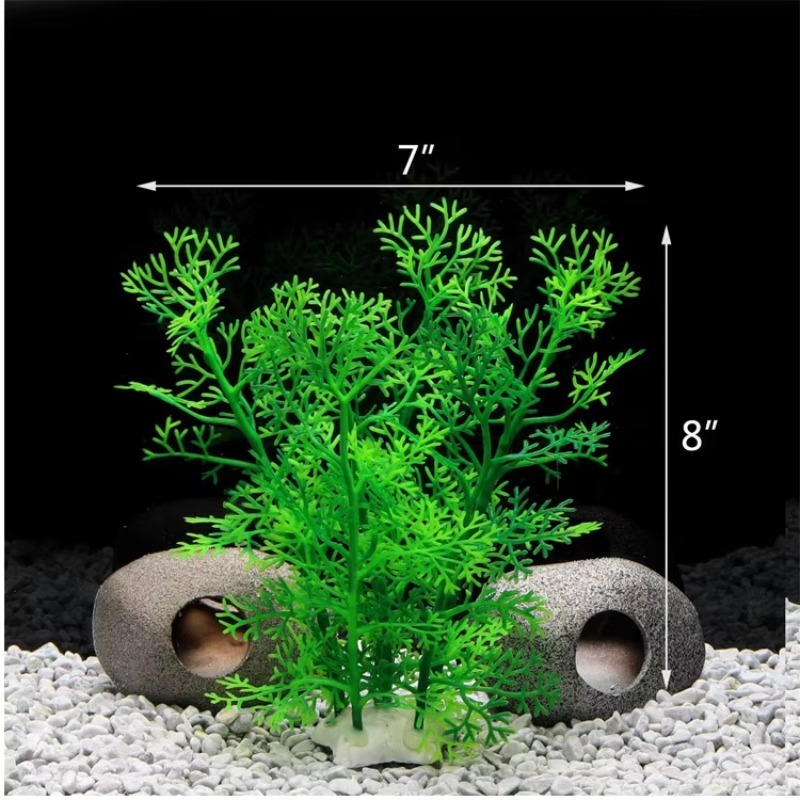 10pcs Hot Selling New Arrival  - Planted Aquarium For Sale ulasan dan harga