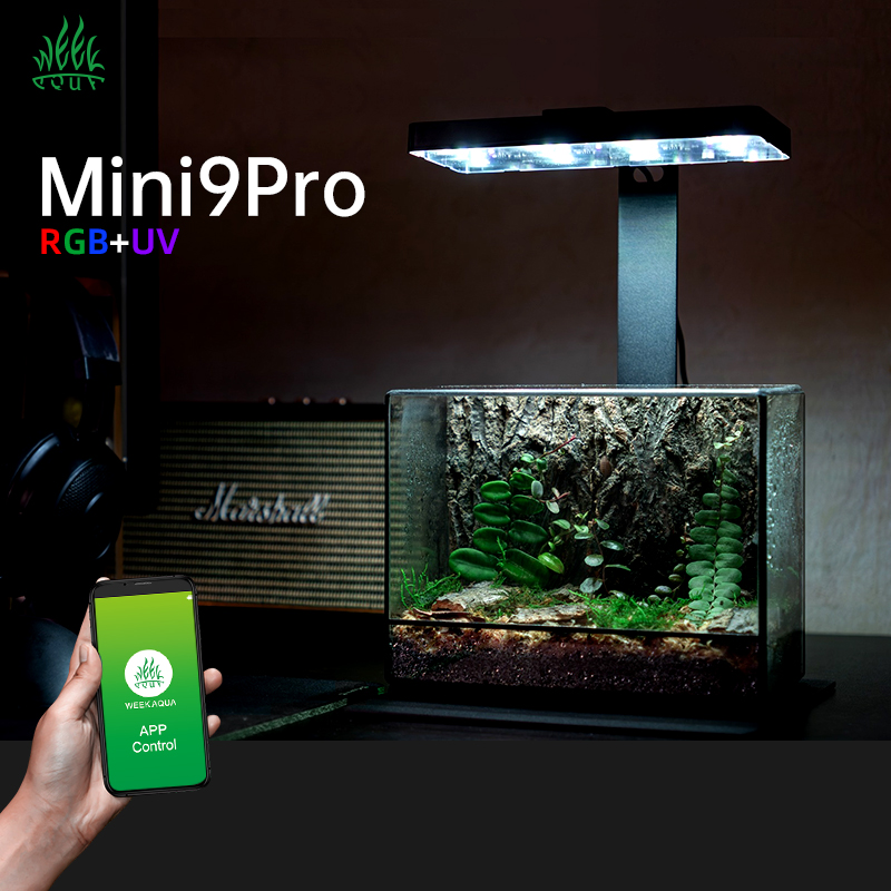 Hot Sale Mini9pro Nano Terrari - Planted Aquarium For Sale ulasan dan harga