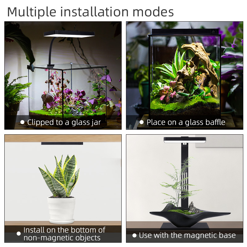 Hot Sale Mini9pro Nano Terrari - Planted Aquarium For Sale ulasan dan harga