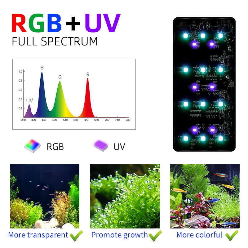 Hot Sale Mini9pro Nano Terrari - Planted Aquarium For Sale ulasan dan harga