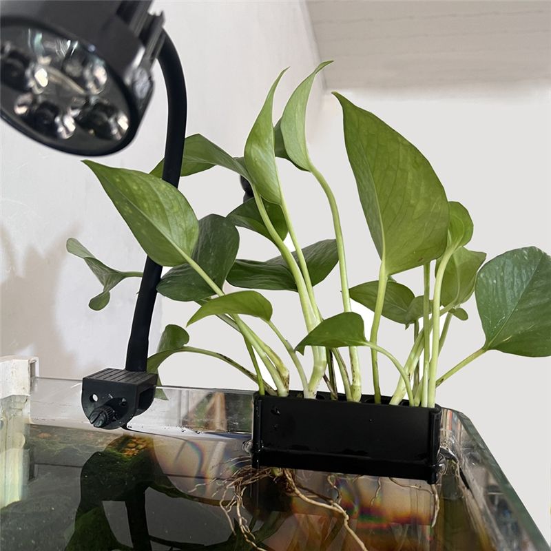 ABUN 2PCS Aquarium Plant Holde - Emersed Plants Aquarium ulasan dan harga