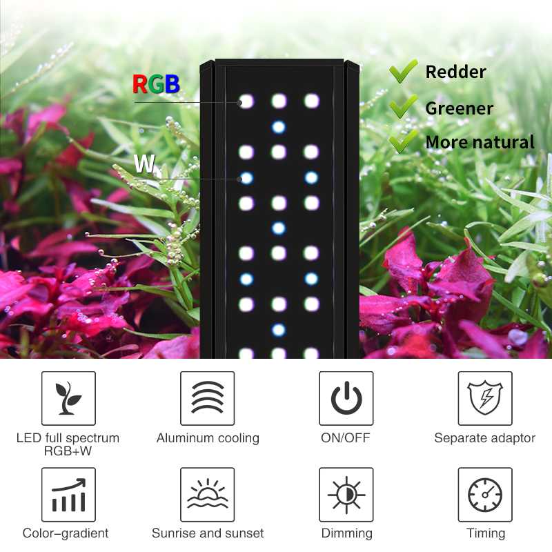ZXY Hot Sale WEEKAQUA V400 WRG - Planted Aquarium For Sale ulasan dan harga