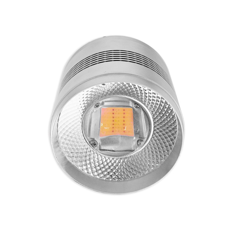 70W LED Aquarium Light for Fre - Planted Aquarium Algae Control ulasan dan harga