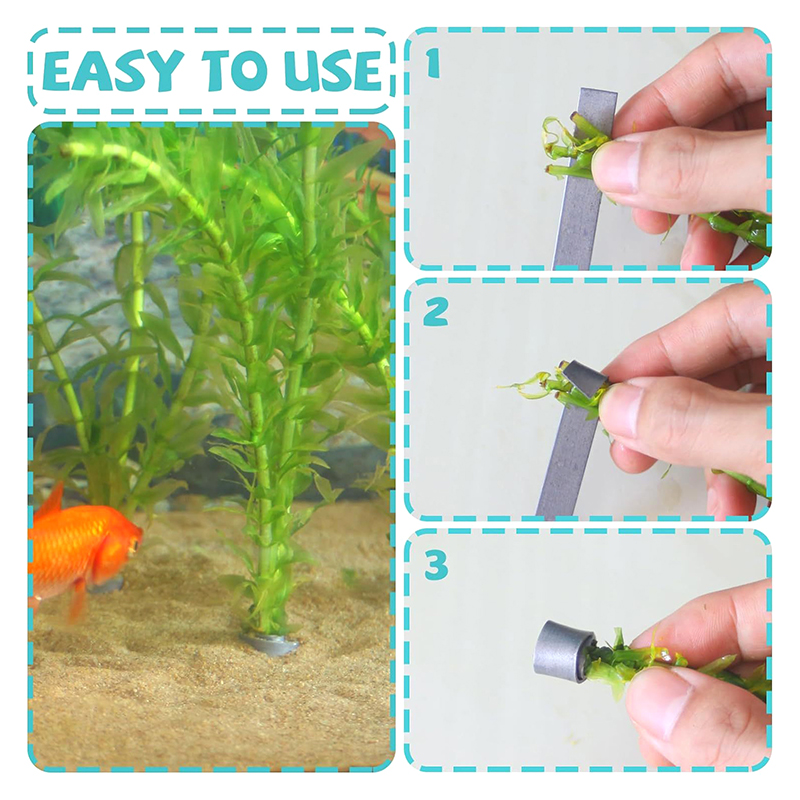 * New Sale 10pcs Flexible Fold - Planted Aquarium For Sale ulasan dan harga