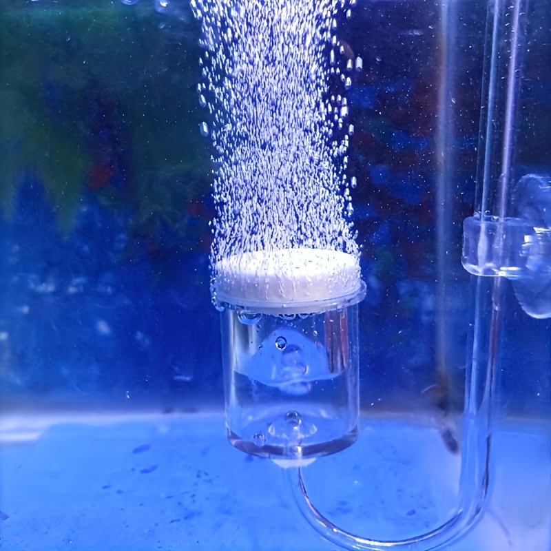 Aquarium Glass CO2 Atomizer Di - Aquarium Plant Nursery ulasan dan harga