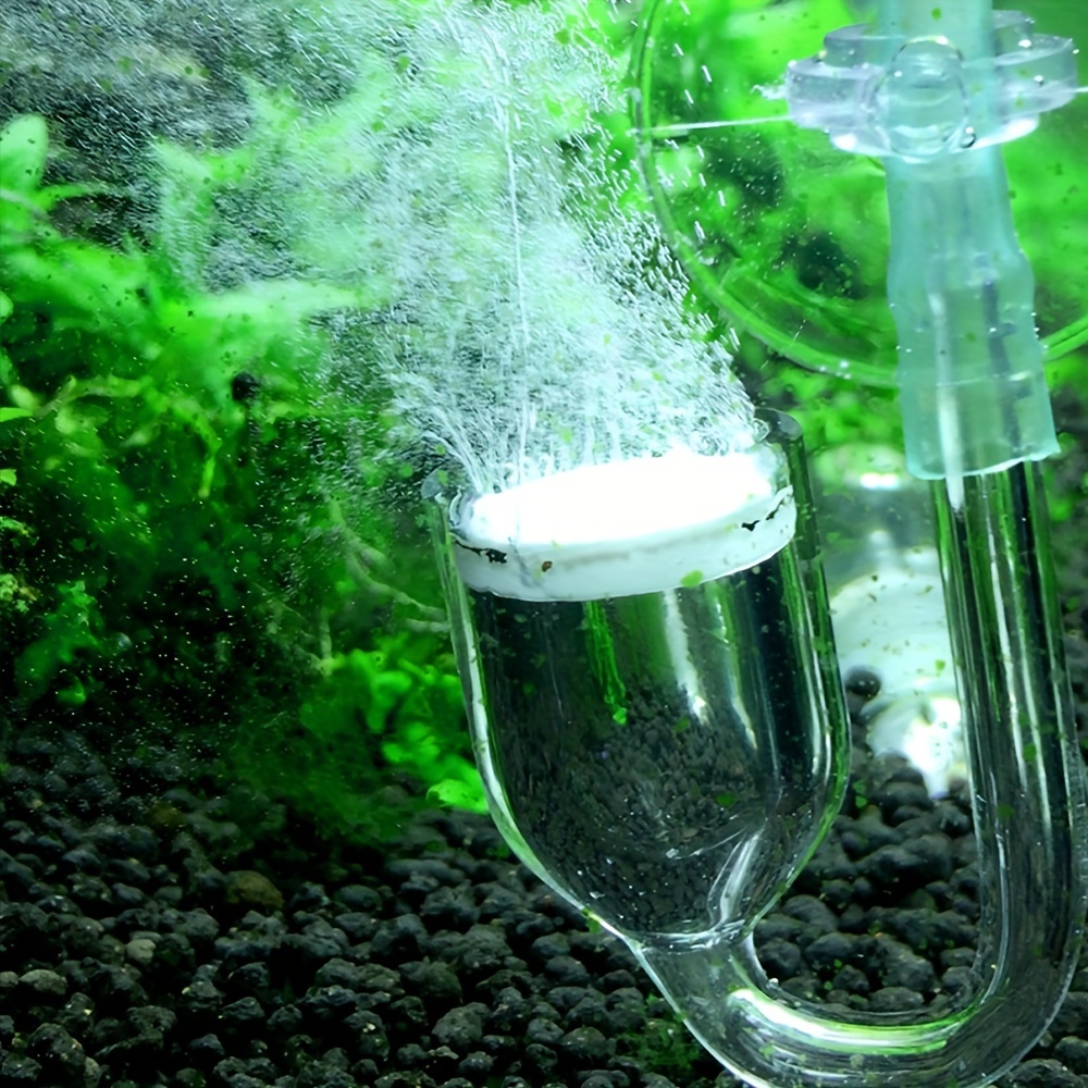 Aquarium Glass CO2 Atomizer Di - Aquarium Plant Nursery ulasan dan harga