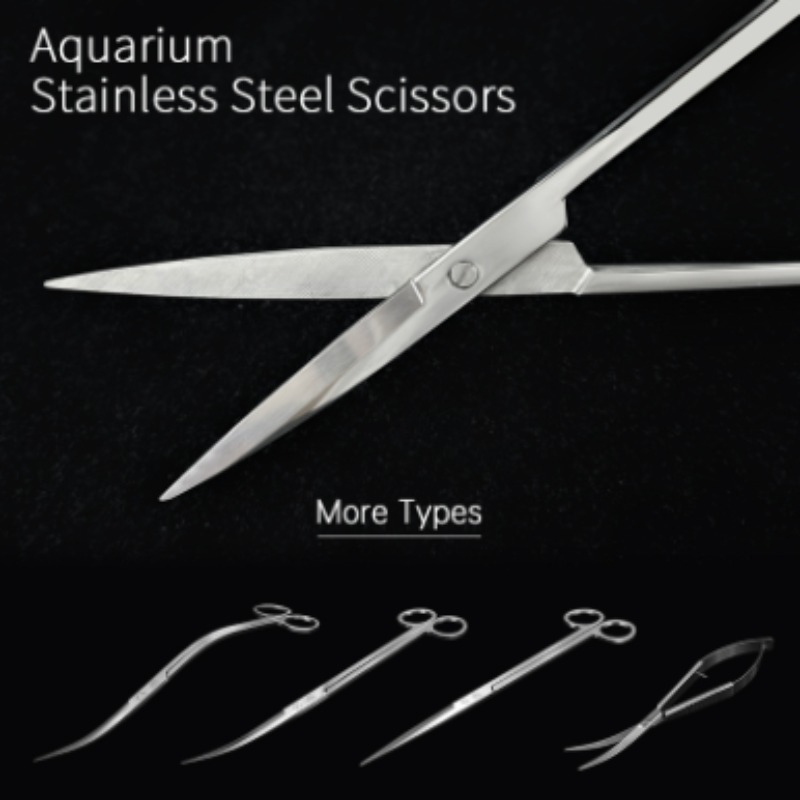 Week Aqua Stainless Steel Aqua - Aquarium Plant Nursery ulasan dan harga