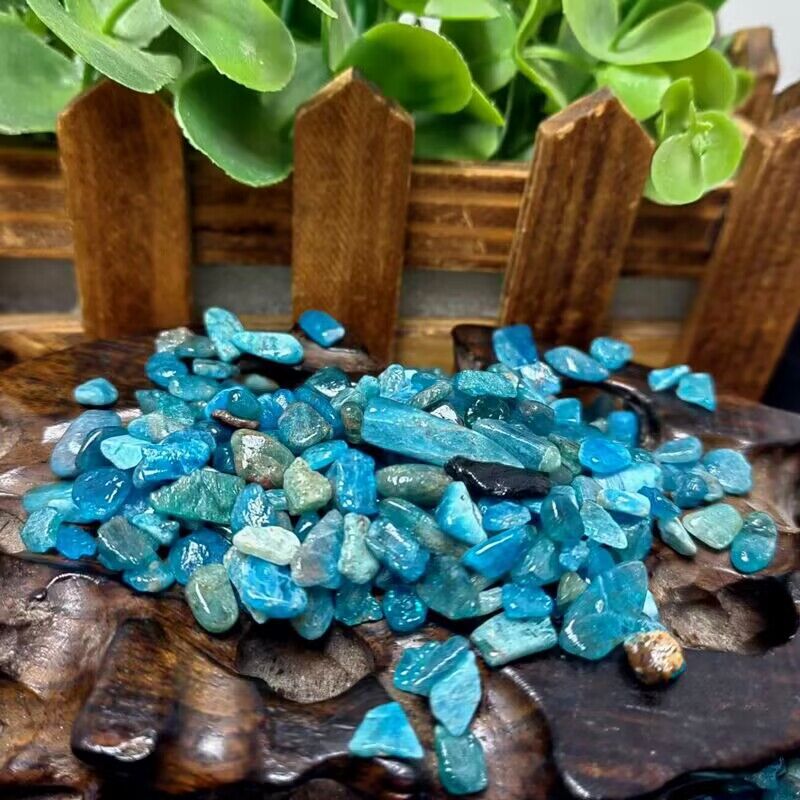 Natural Blue Apatite Crushed C - Planted Aquarium Making ulasan dan harga