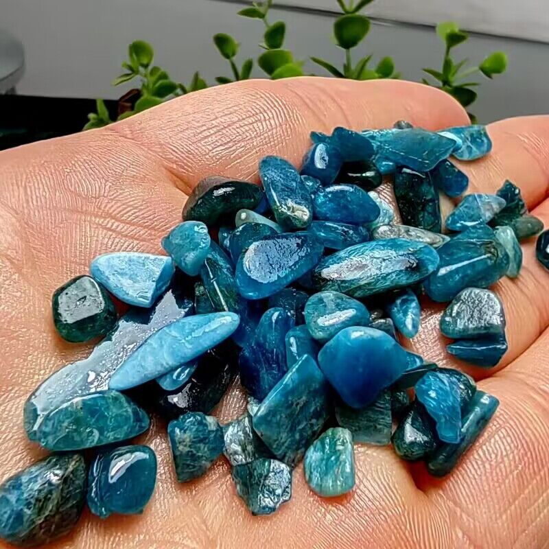 Natural Blue Apatite Crushed C - Planted Aquarium Making ulasan dan harga