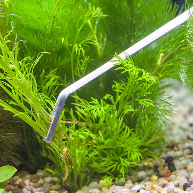 Professional Aquarium Maintena - Planted Aquarium Maintenance Kit ulasan dan harga