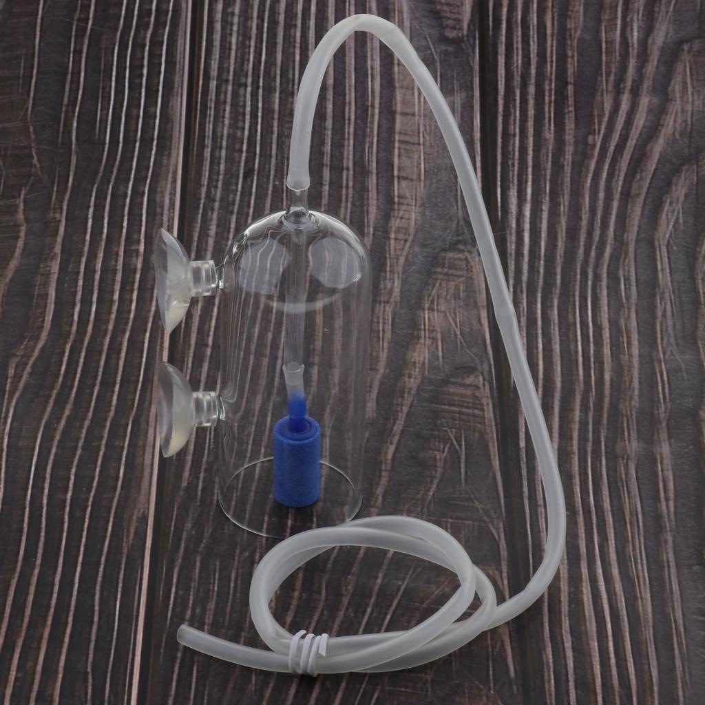 CO2 Diffuser System for Aquari - Planted Aquarium Co2 System ulasan dan harga
