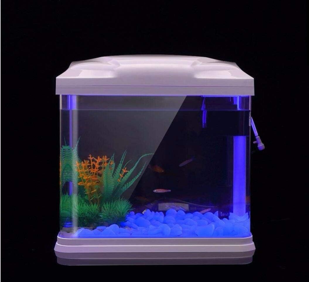 Fish Tank Rocks Glow Blue Pebb - Aquarium Plant Nursery ulasan dan harga