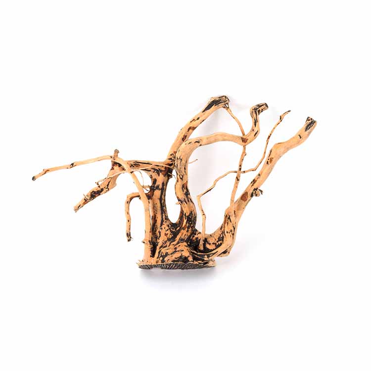 Wholesale Hot Sale Natural Dec - Planted Aquarium For Sale ulasan dan harga