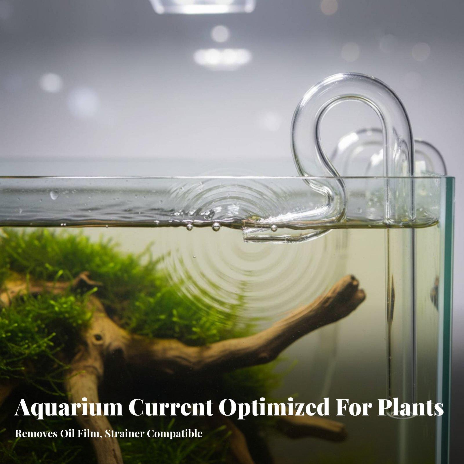 Glass Surface Skimmer Pipe Aqu - Planted Aquarium Freshwater ulasan dan harga