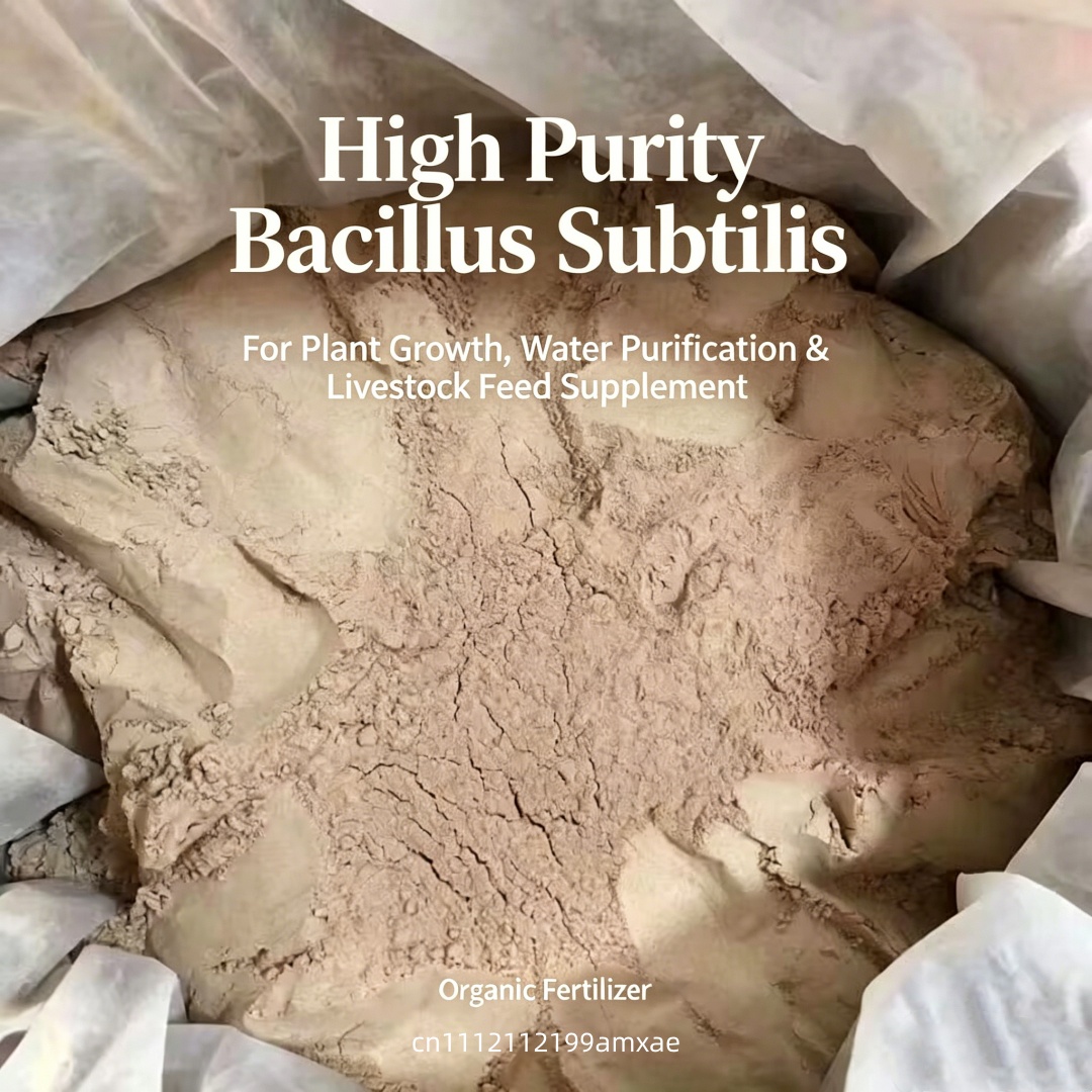 Organic Bacillus Subtilis Prob - Aquarium Plant Root Fertilizer ulasan dan harga