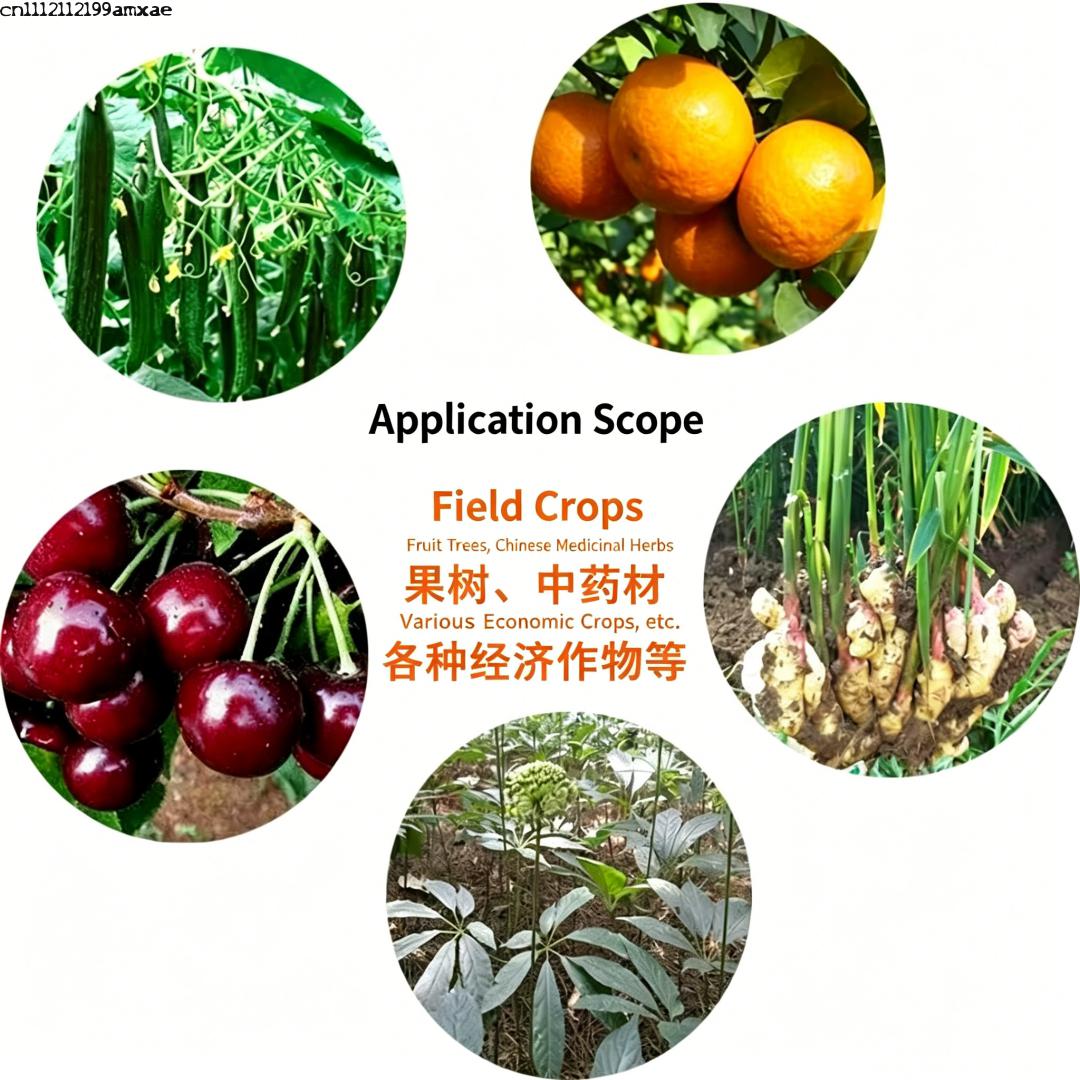 Organic Bacillus Subtilis Prob - Aquarium Plant Root Fertilizer ulasan dan harga