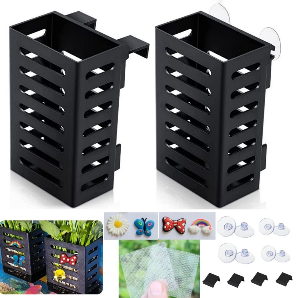Water Plant Landscape Aquarium - Emersed Plants Aquarium ulasan dan harga