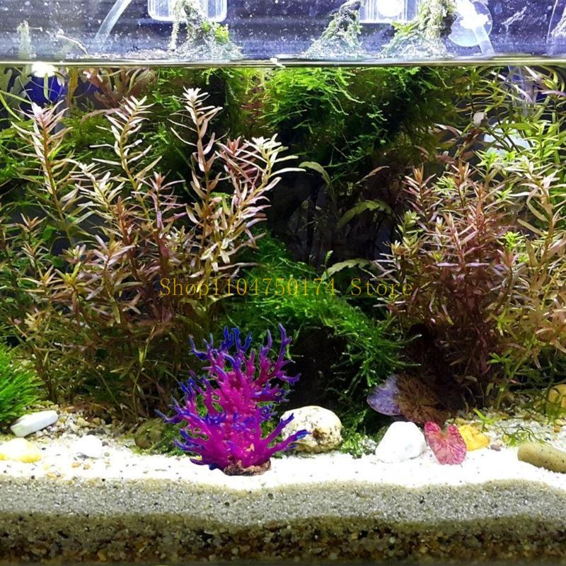 Artificial Water Plant Aquariu - Planted Aquarium For Sale ulasan dan harga