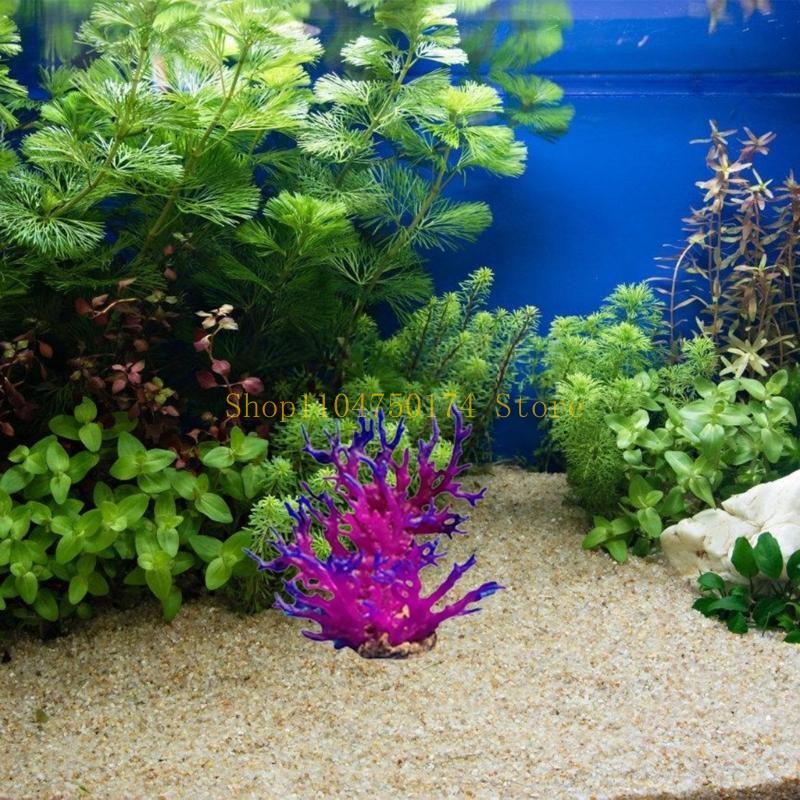 Artificial Water Plant Aquariu - Planted Aquarium For Sale ulasan dan harga