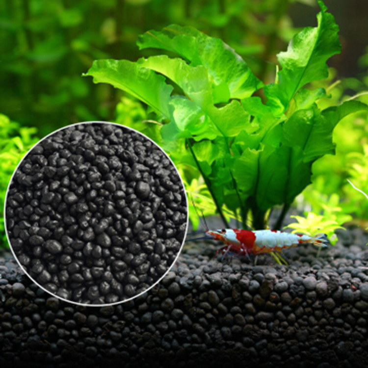 Aquarium Plant Seeds Soil Fish - Aquarium Plant Nursery ulasan dan harga