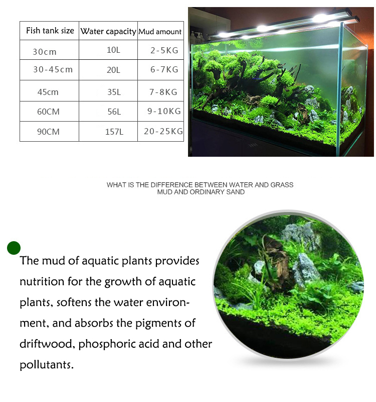 Aquarium Plant Seeds Soil Fish - Aquarium Plant Nursery ulasan dan harga