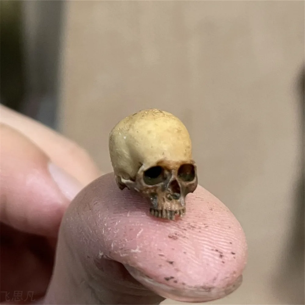 Mini Skull High Quality Miniat - Aquarium Plant Display ulasan dan harga