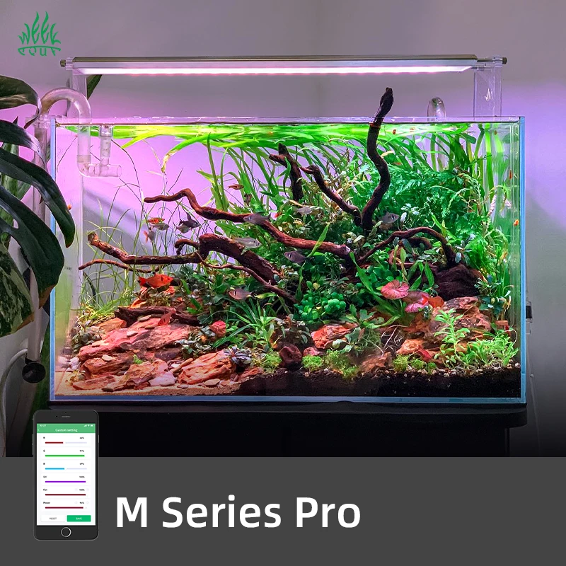 ZXY Hot Sales WEEK AQUA M1200P - Planted Aquarium For Sale ulasan dan harga