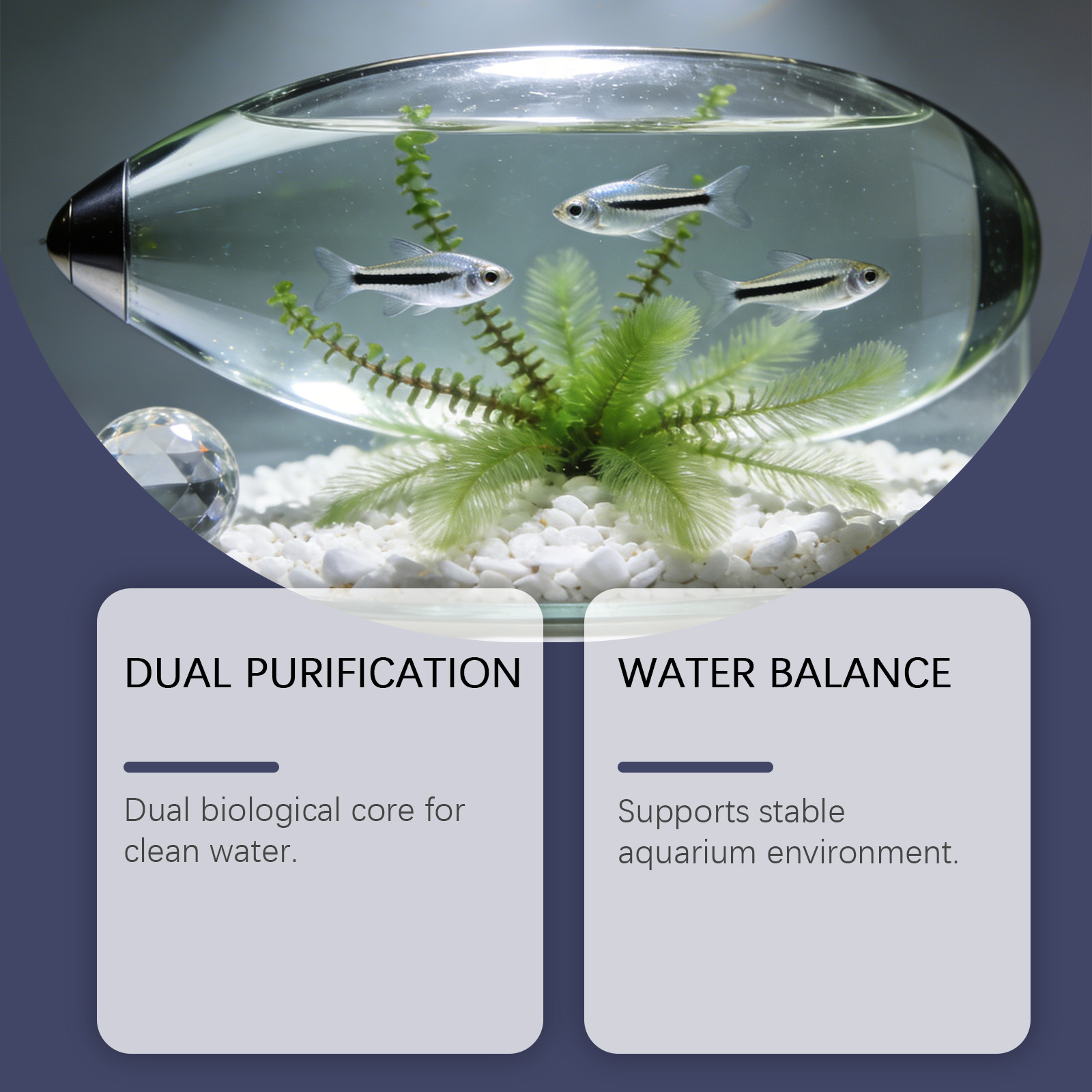 Algae Remover Tablets for Aqua - Planted Aquarium Algae Control ulasan dan harga