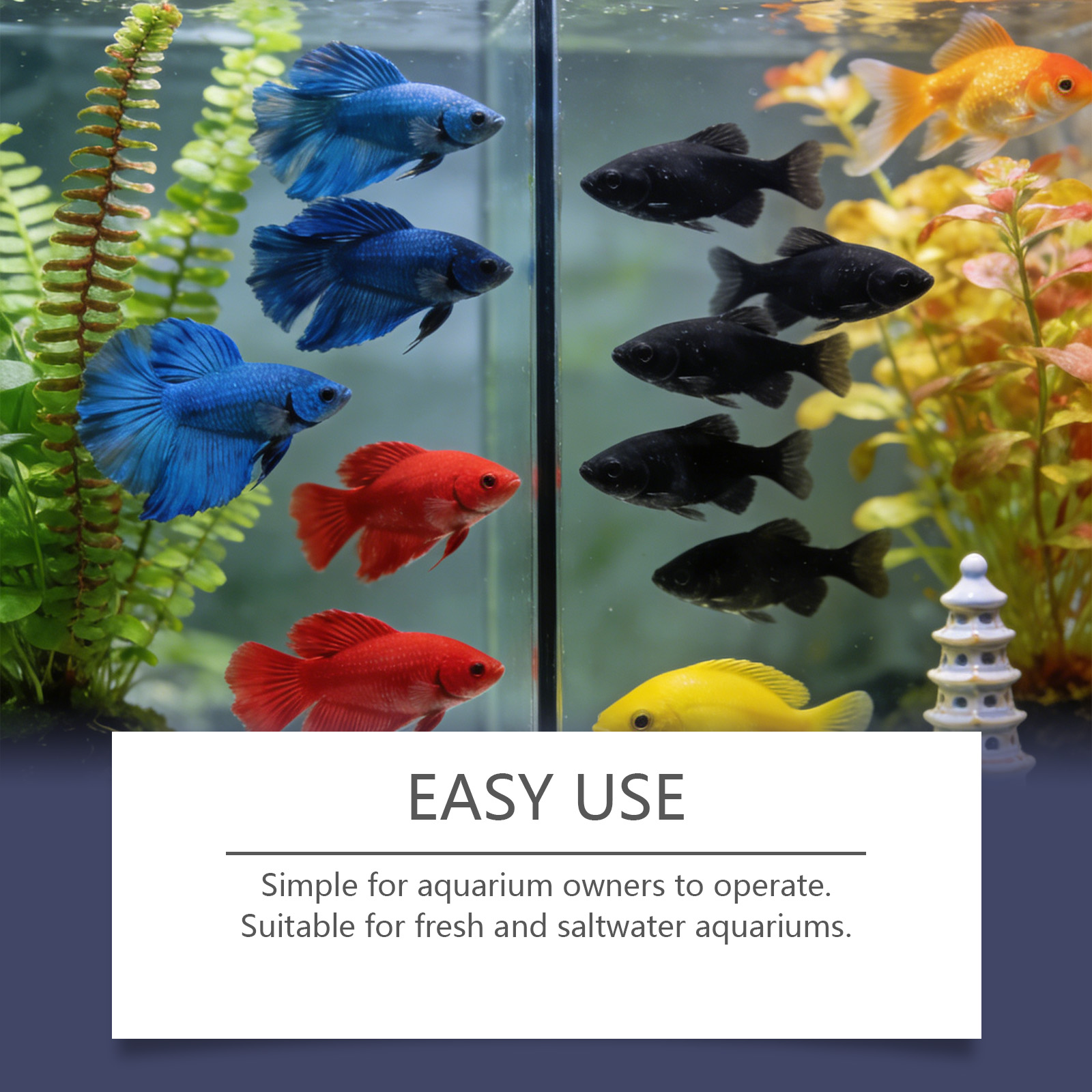 Algae Remover Tablets for Aqua - Planted Aquarium Algae Control ulasan dan harga