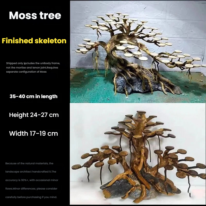 Aquarium Landscaping Moss Tree - Aquarium Plant Nursery ulasan dan harga