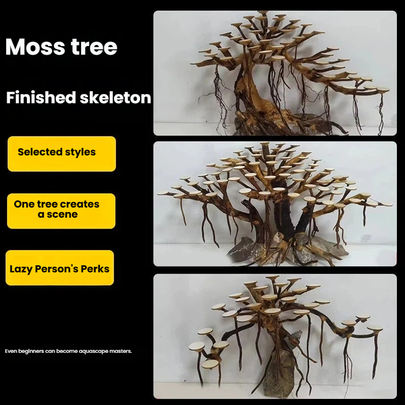 Aquarium Landscaping Moss Tree - Aquarium Plant Nursery ulasan dan harga
