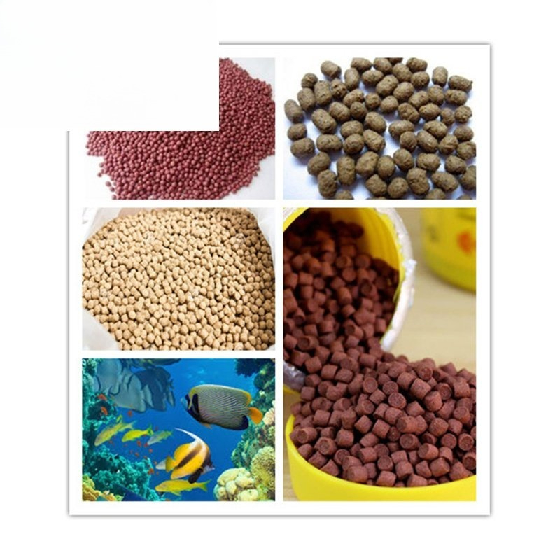 Dry Floating Fish Shrimp Catfi - Planted Aquarium Making ulasan dan harga