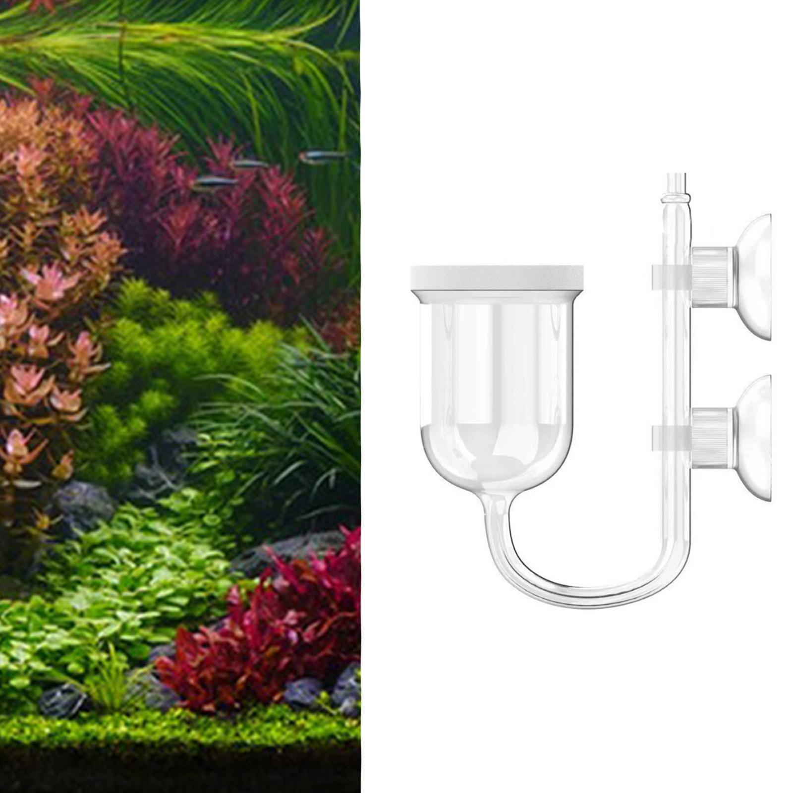 Glass CO2 Diffuser Clear with  - Planted Aquarium Co2 System ulasan dan harga