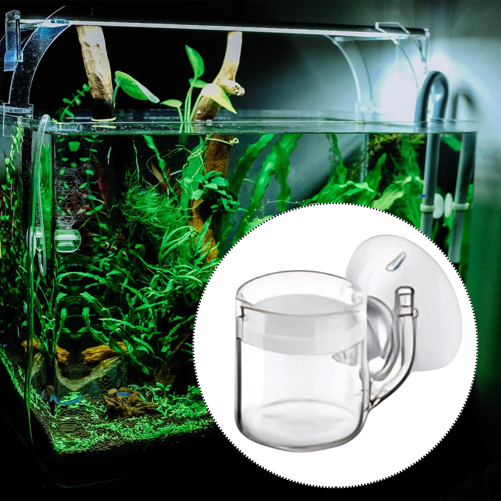 CO2 Diffuser Flat Bottom Silen - Aquarium Plant No Co2 ulasan dan harga