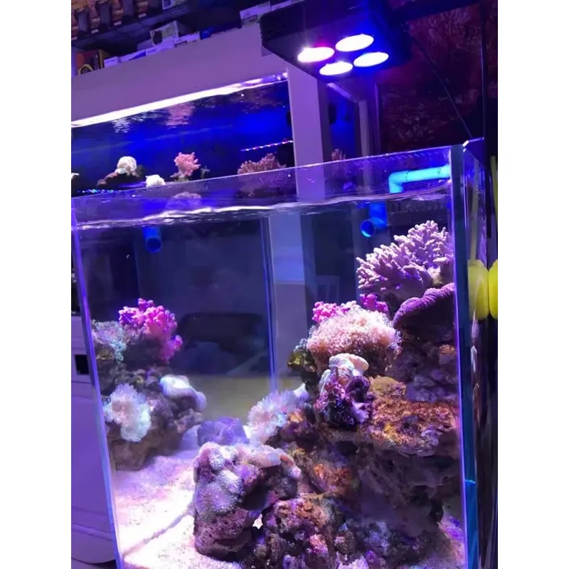 Gako A052 52w Hot Sale Aquariu - Planted Aquarium For Sale ulasan dan harga