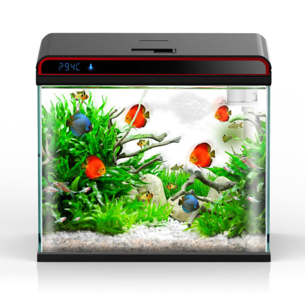 Sunsun 4-in-1 Aquarium Water C - Planted Aquarium Algae Control ulasan dan harga