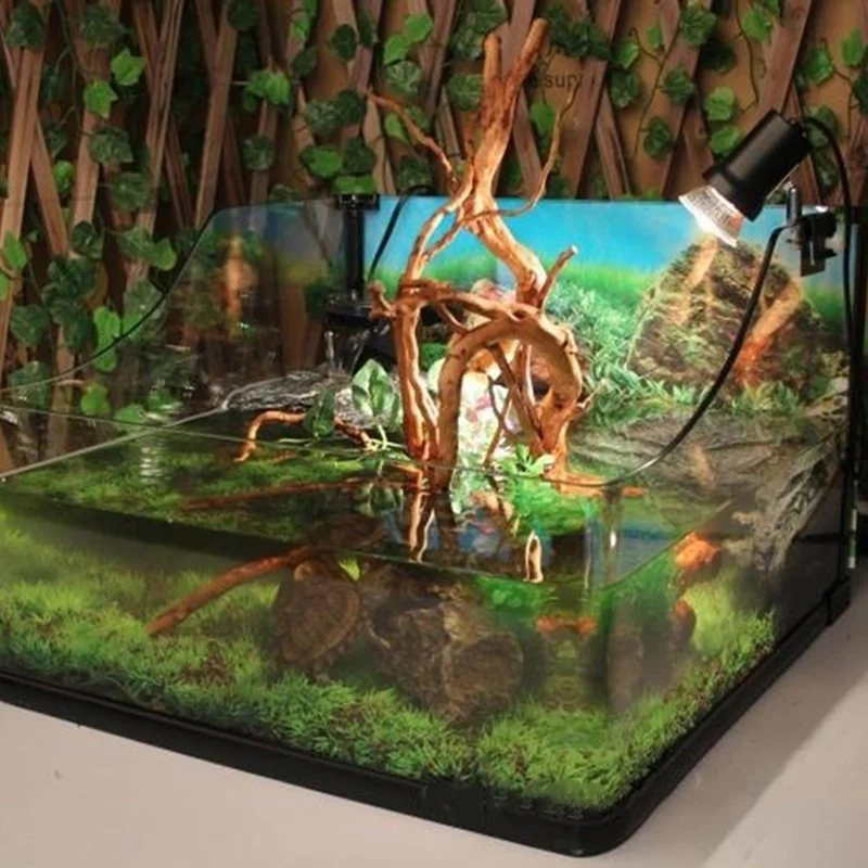 Natural Tree Trunk Driftwood A - Planted Aquarium Making ulasan dan harga